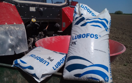 partner vélemény kép