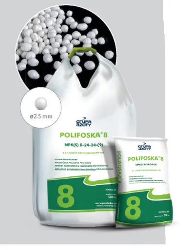 Polifoska 8-24-24 NPK